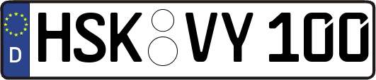 HSK-VY100