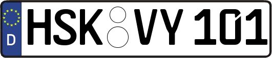 HSK-VY101