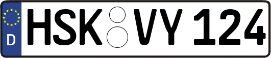 HSK-VY124