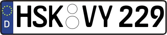 HSK-VY229