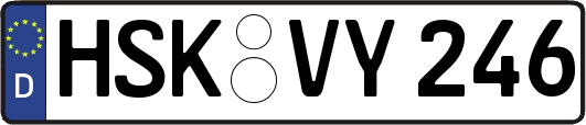 HSK-VY246