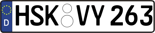 HSK-VY263