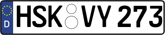HSK-VY273