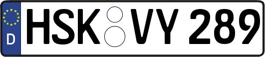 HSK-VY289