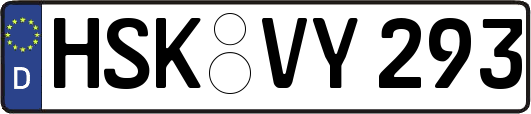 HSK-VY293