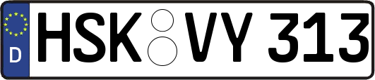 HSK-VY313