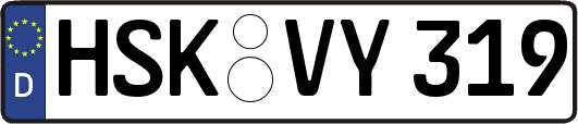 HSK-VY319