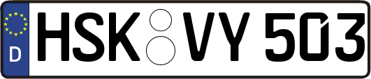 HSK-VY503