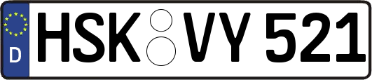 HSK-VY521