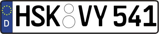 HSK-VY541