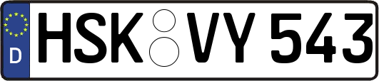 HSK-VY543