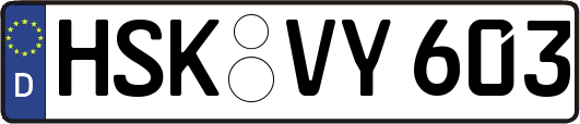 HSK-VY603