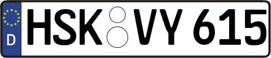 HSK-VY615