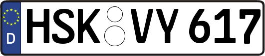 HSK-VY617