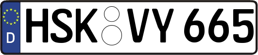 HSK-VY665