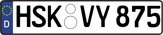 HSK-VY875