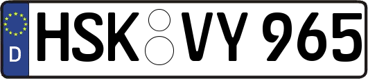 HSK-VY965