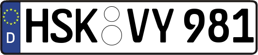 HSK-VY981