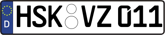 HSK-VZ011