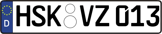 HSK-VZ013