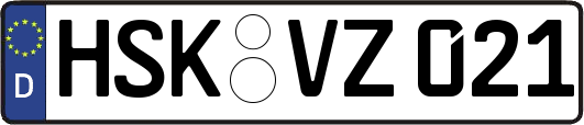 HSK-VZ021