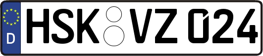 HSK-VZ024