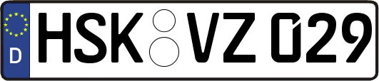 HSK-VZ029