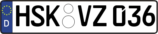 HSK-VZ036