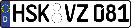 HSK-VZ081