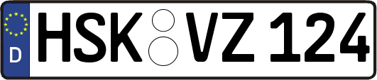 HSK-VZ124