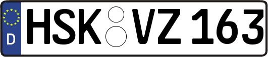 HSK-VZ163