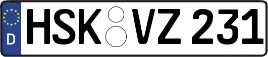 HSK-VZ231