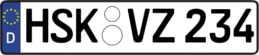 HSK-VZ234