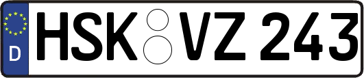 HSK-VZ243
