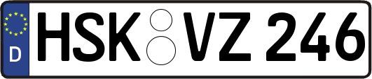 HSK-VZ246