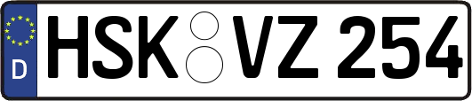 HSK-VZ254
