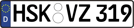 HSK-VZ319