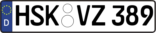 HSK-VZ389