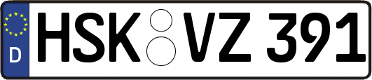 HSK-VZ391