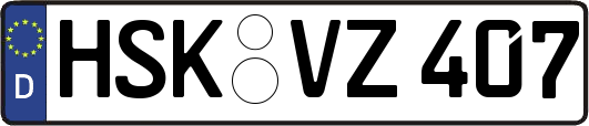 HSK-VZ407