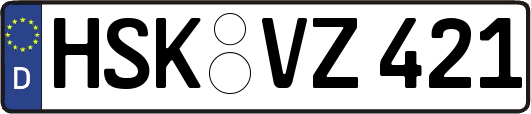 HSK-VZ421