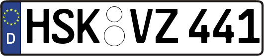 HSK-VZ441