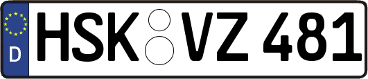 HSK-VZ481