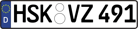 HSK-VZ491