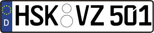 HSK-VZ501