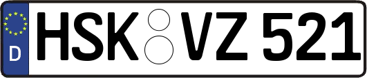HSK-VZ521