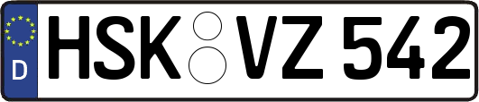 HSK-VZ542