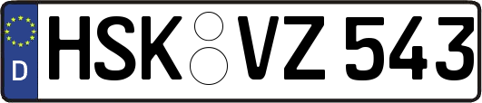 HSK-VZ543