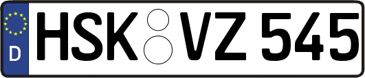 HSK-VZ545