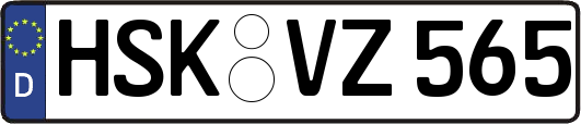 HSK-VZ565